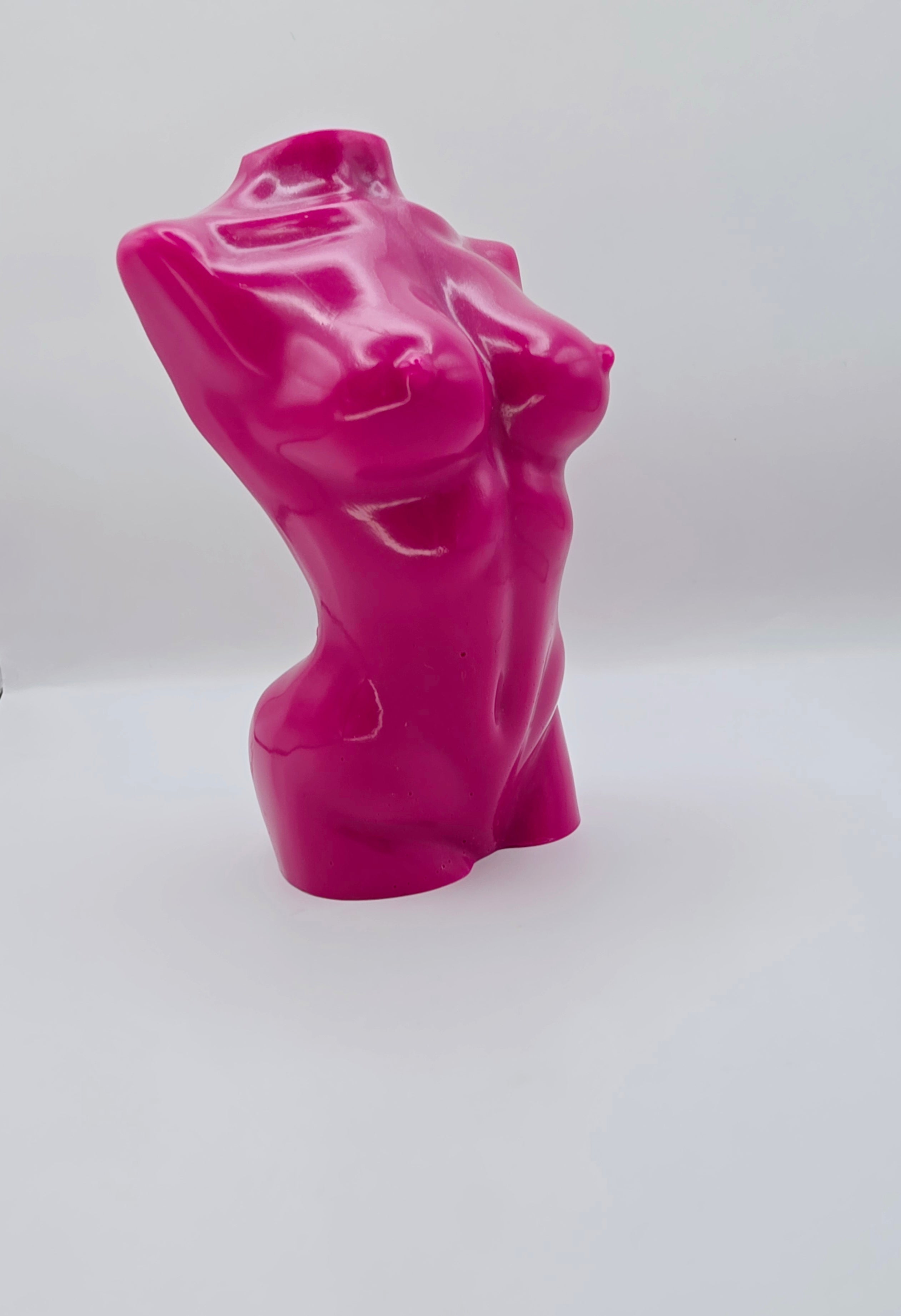 Abstract Body - Rosa