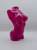 Abstract Body - Rosa