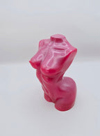 Abstract Body - Rosa 1