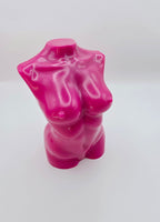 Abstract Body - Rosa