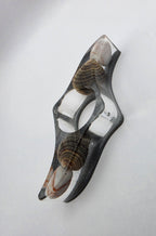 Bokholder med sneglehus